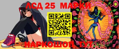 индика Заводоуковск