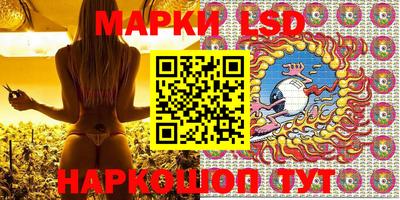 индика Заводоуковск