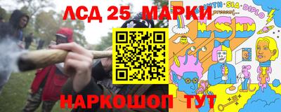 амф Заволжье