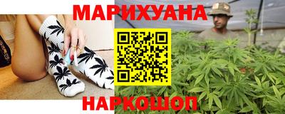 индика Заводоуковск