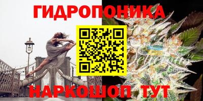 индика Заводоуковск
