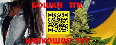 индика Заводоуковск