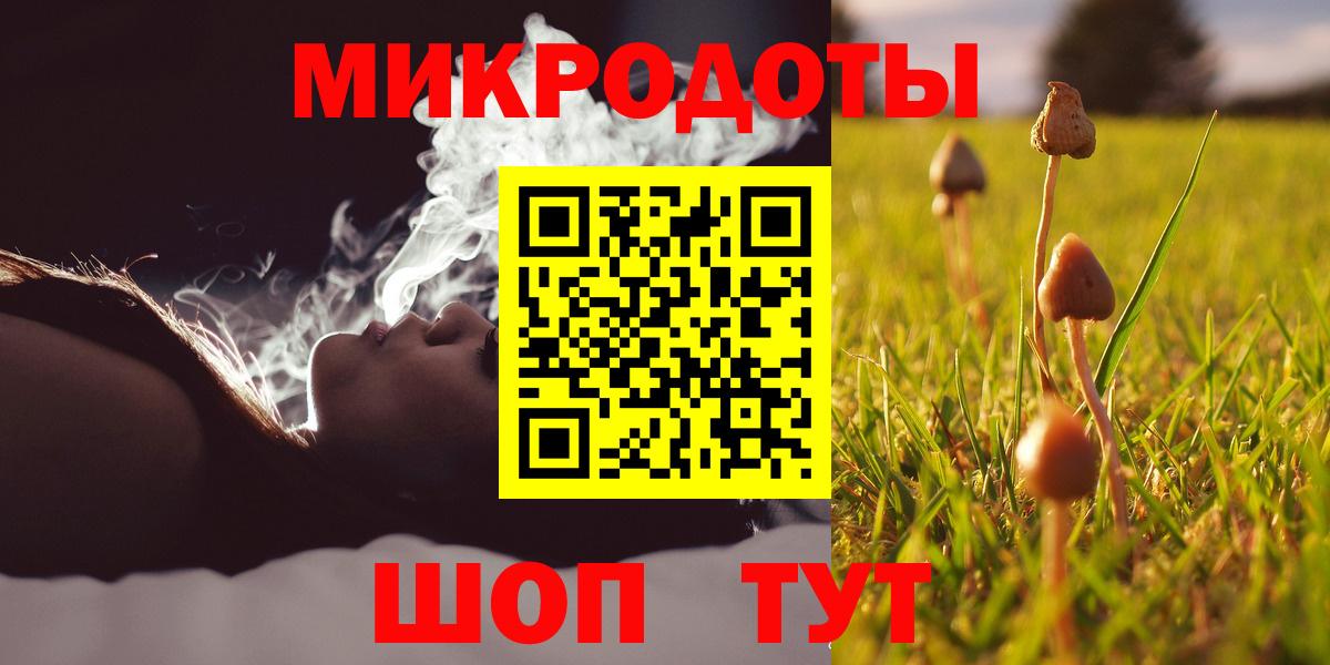 Муравленко  Псилоцибиновые грибы MAGIC MUSHROOMS  Вход с VPN 