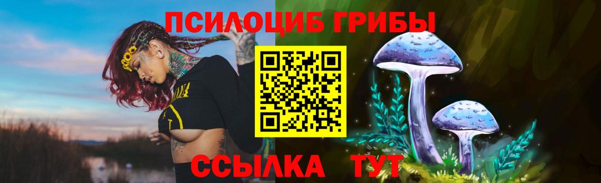 Галлюциногенные грибы мицелий Муравленко