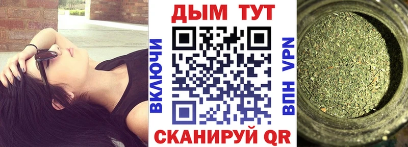 Канабис ГИДРОПОН  Муравленко 